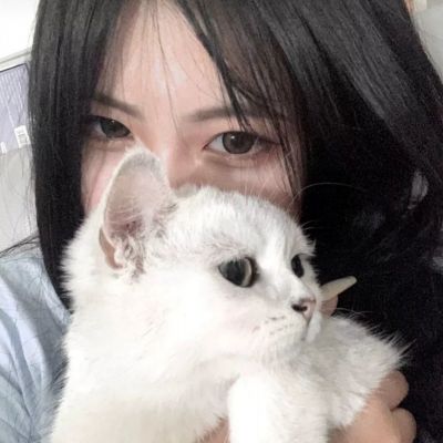 无双飞将百度版下载