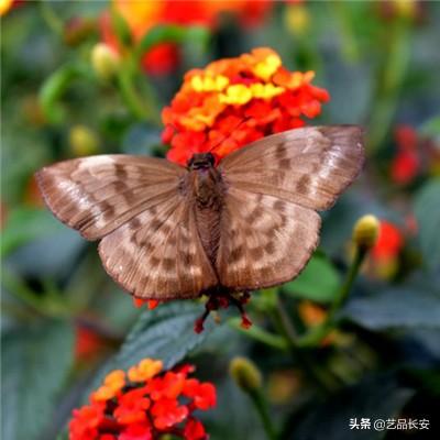 圣斗士星矢重生360版下载