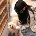 剑雨柔情无限金币下载